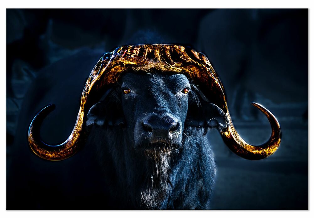 SELSEY Obraz Złote rogi jednoczęściowy 90x60 cm szeroki