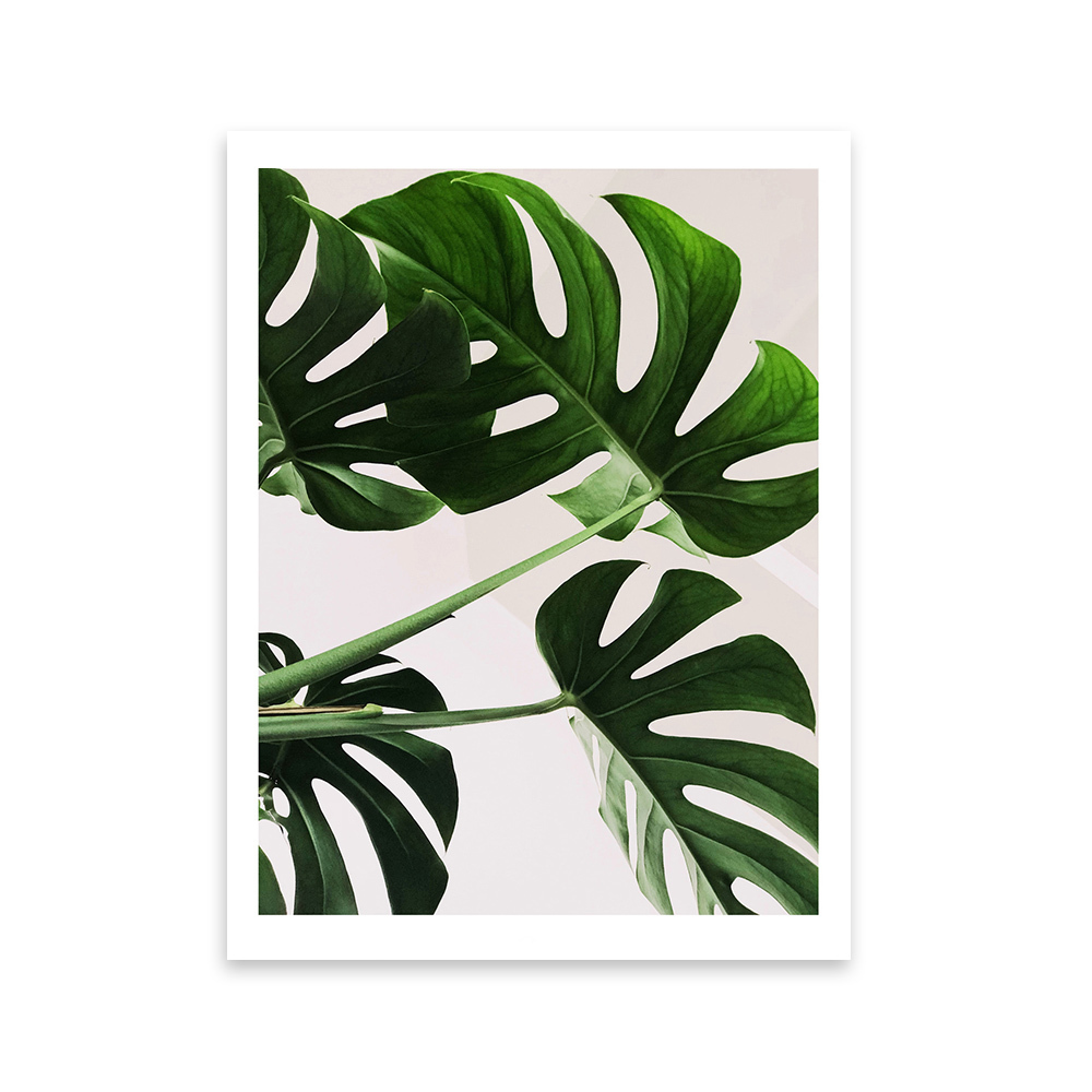 SELSEY Plakat Flamen z wyborem rozmiaru i ramy