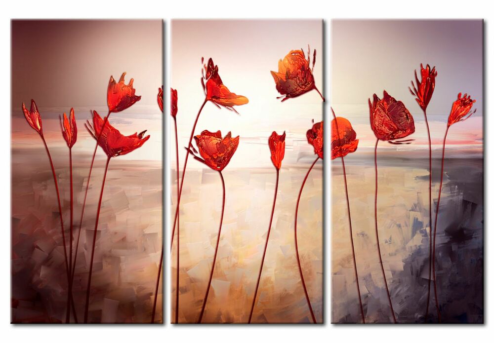 SELSEY Obraz Bright red poppies 90x60 cm