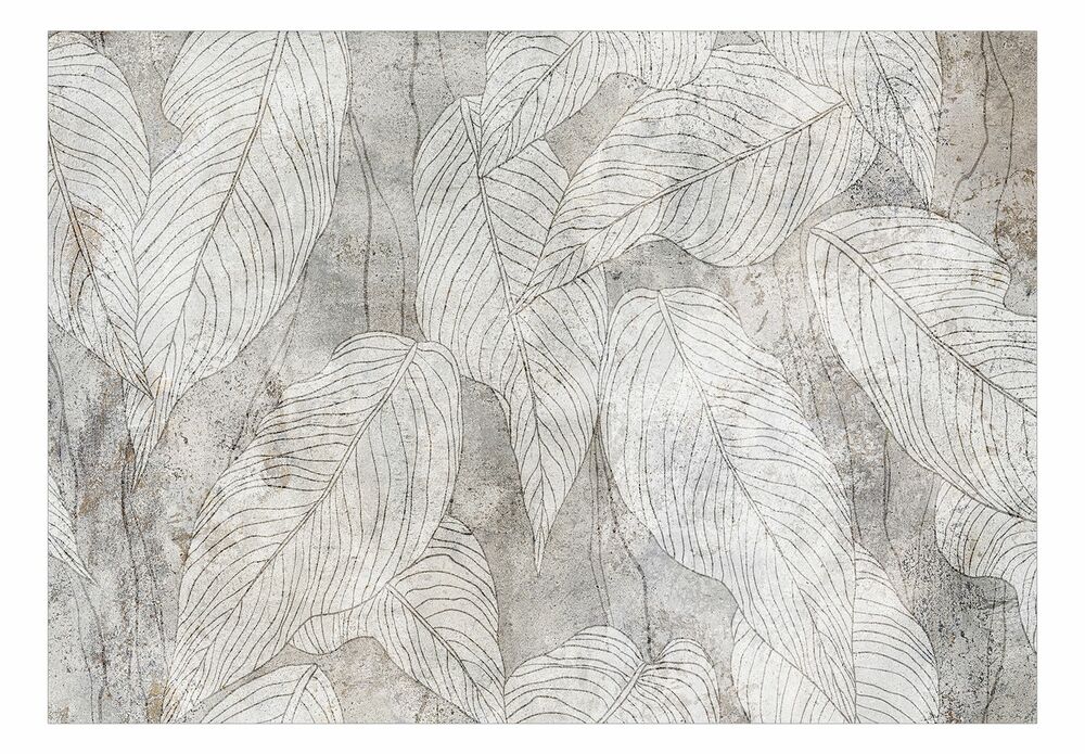 SELSEY Fototapeta Cień przepełniony szumem 450x315 cm