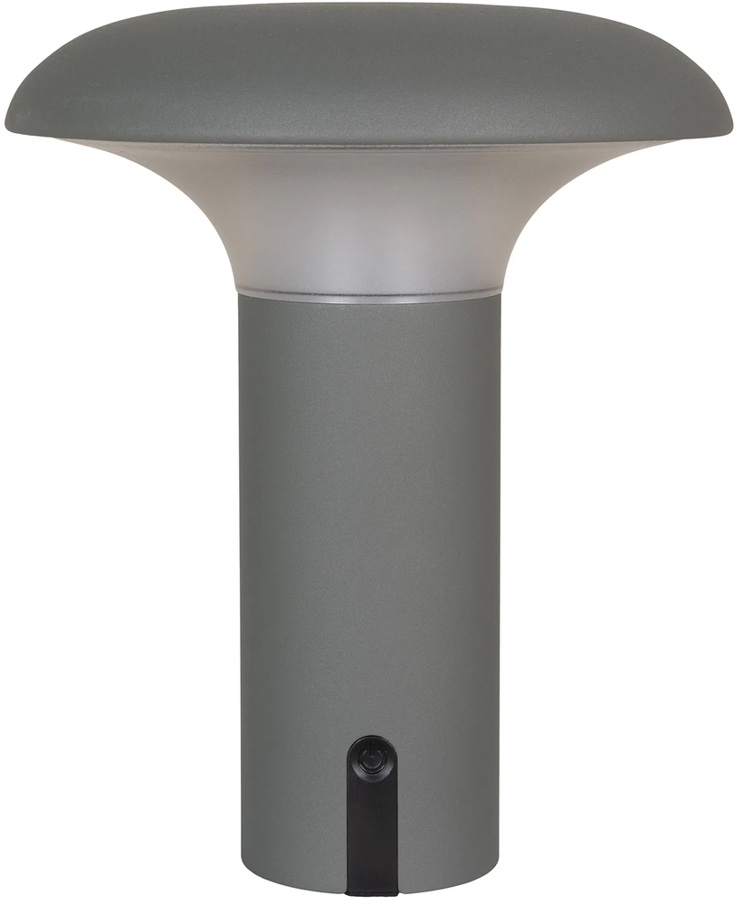 SELSEY Lampa ogrodowa Miraeled LED szara