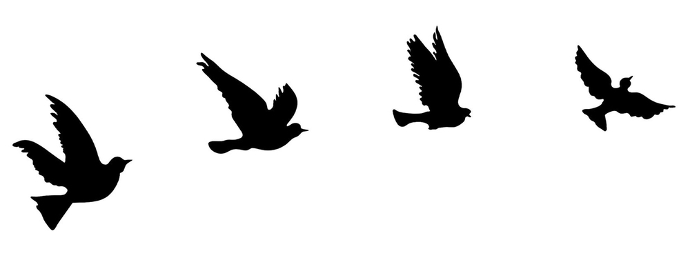 SELSEY Dekoracja ścienna Lousnel x4 gołębie