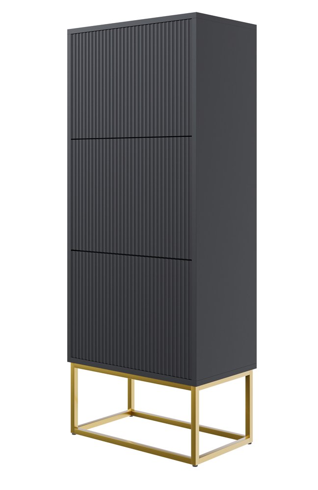 SELSEY Szafka na buty Veldio z frezowanym frontem i trzema przegrodami 50 cm Czarna ze złotymi nogami