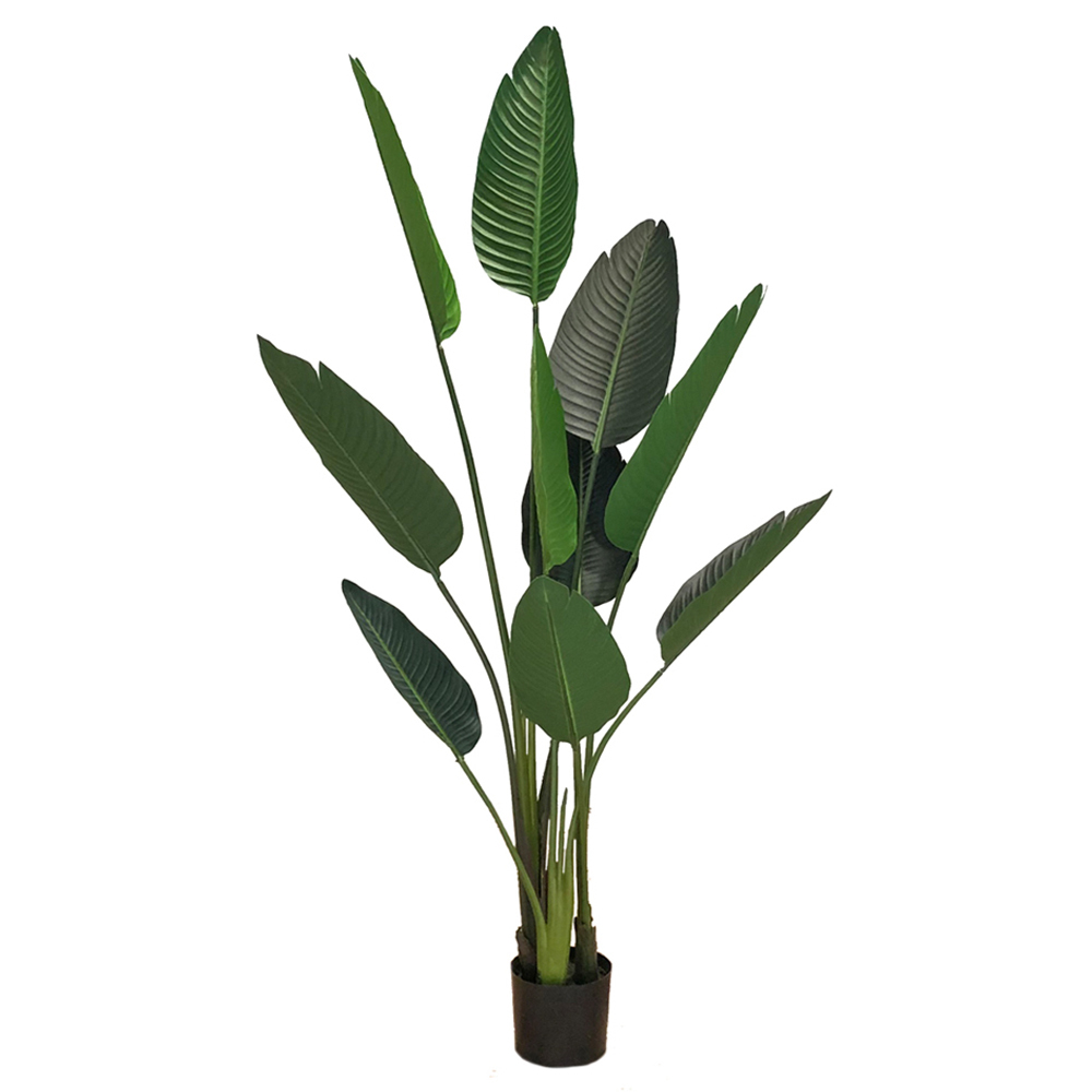 SELSEY Sztuczny kwiat Ilitten Sterlicja 155 cm