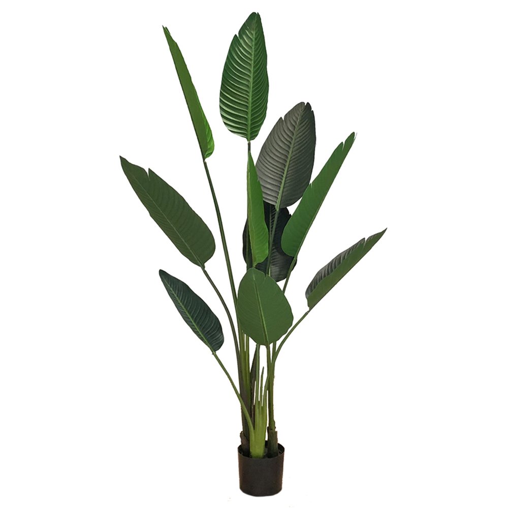 SELSEY Sztuczny kwiat Ilitten Sterlicja 155 cm