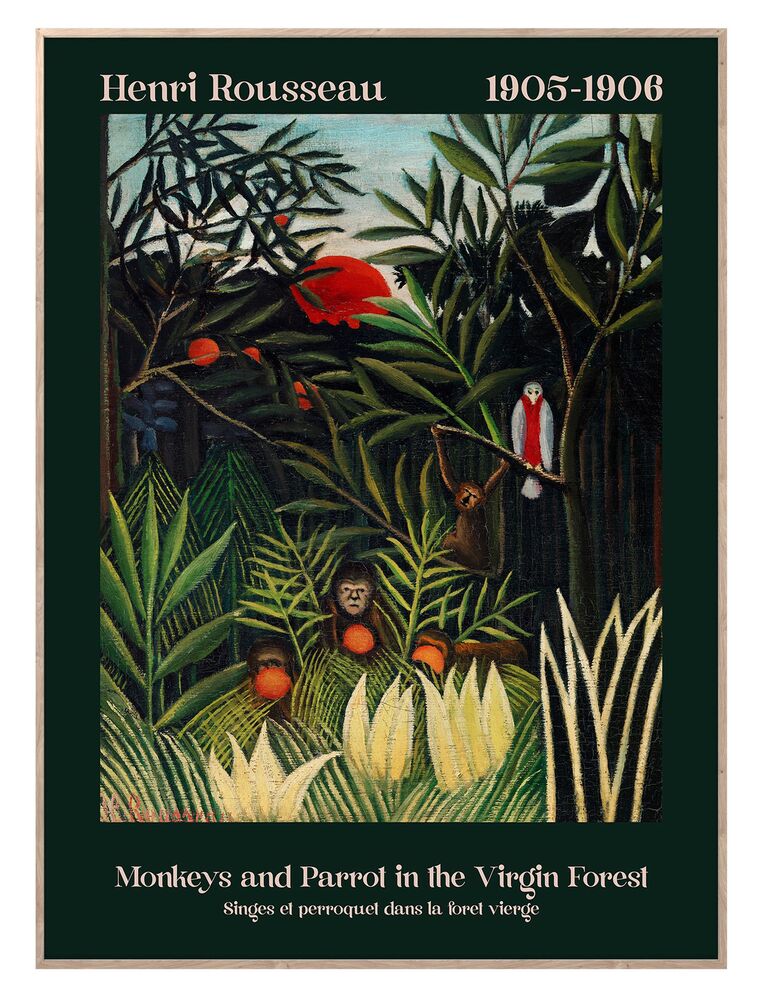 SELSEY Obraz w ramie Virgin Forest 70x50 cm