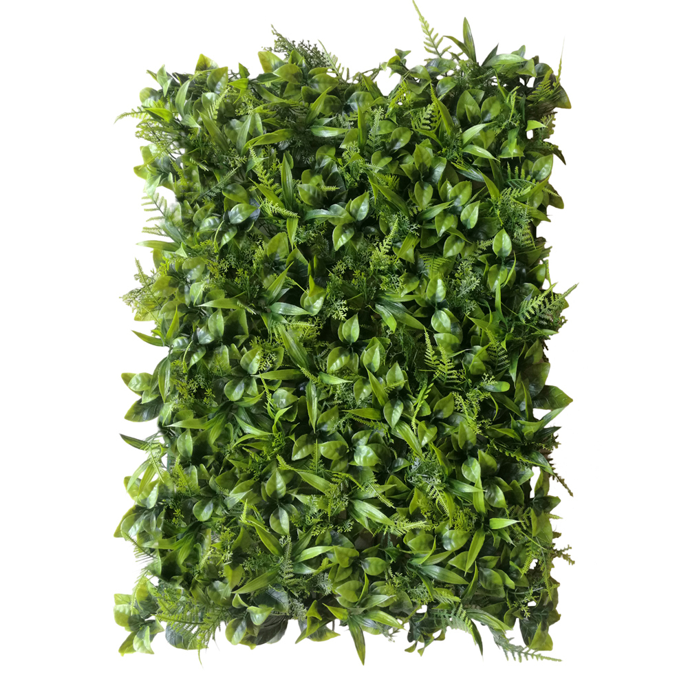 SELSEY Dekoracja ścienna Shientrist Peperomia