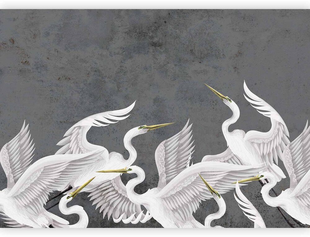 SELSEY Fototapeta Trzepot skrzydeł 250x175 cm