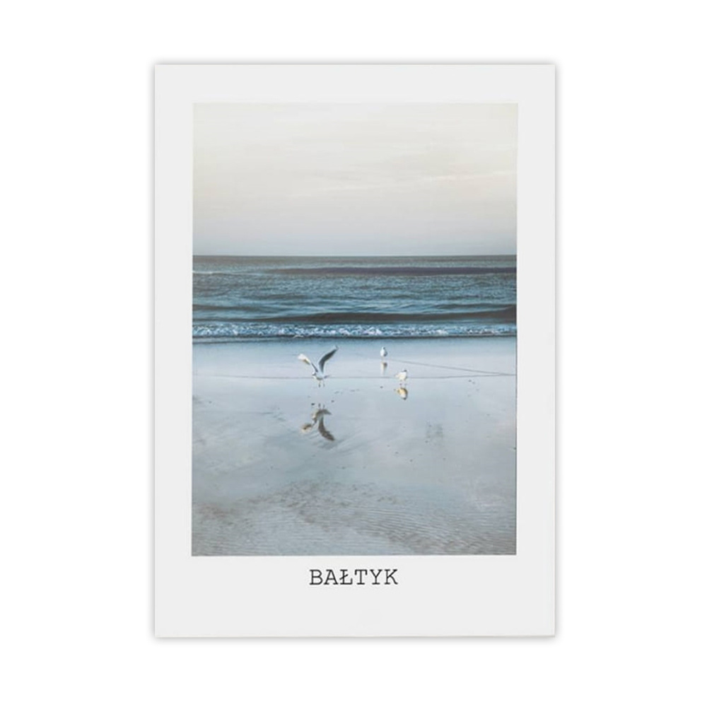 SELSEY Plakat Iggly 40x50 cm bez ramy