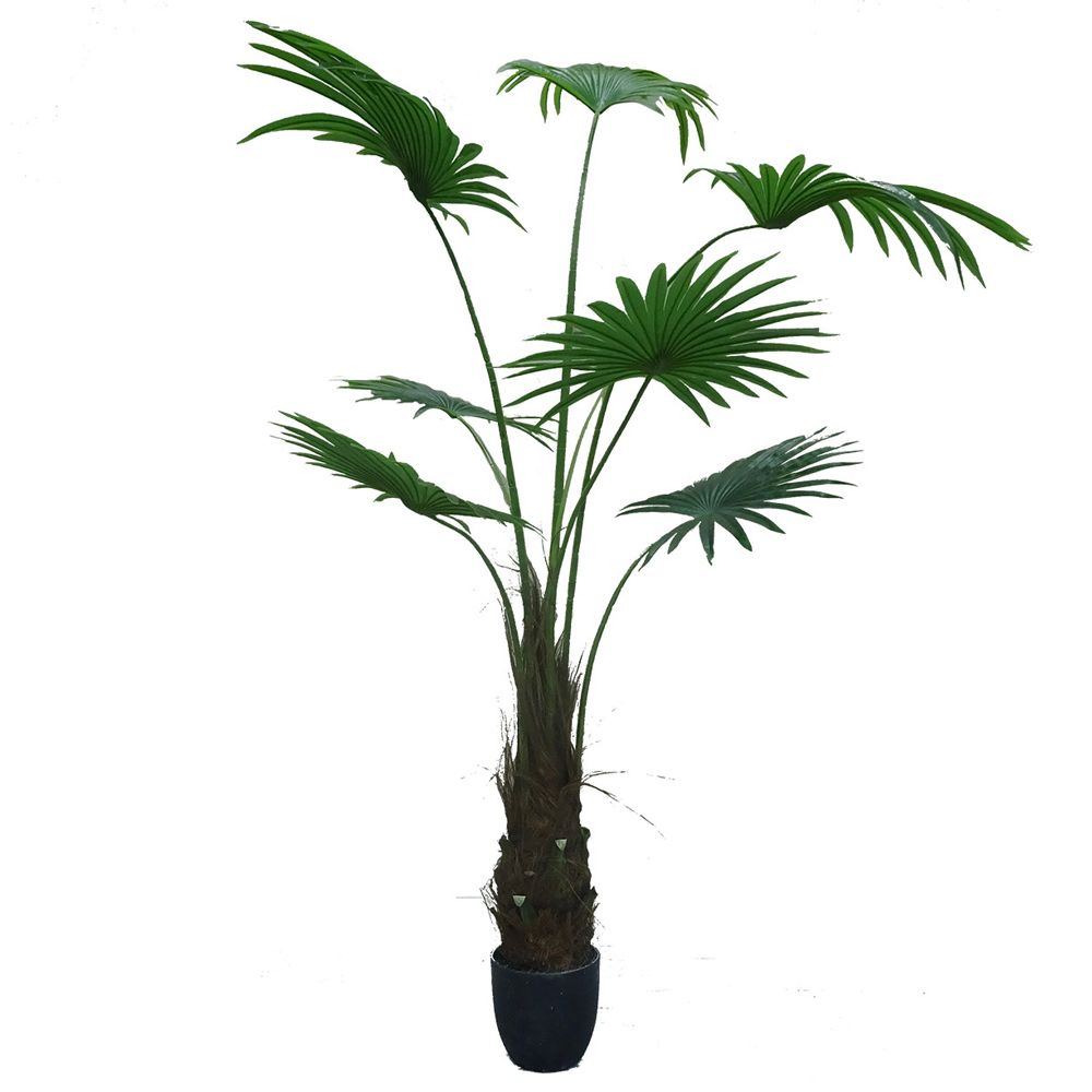 SELSEY Sztuczny kwiat Ilitten Waszyngtonia robusta 180 cm