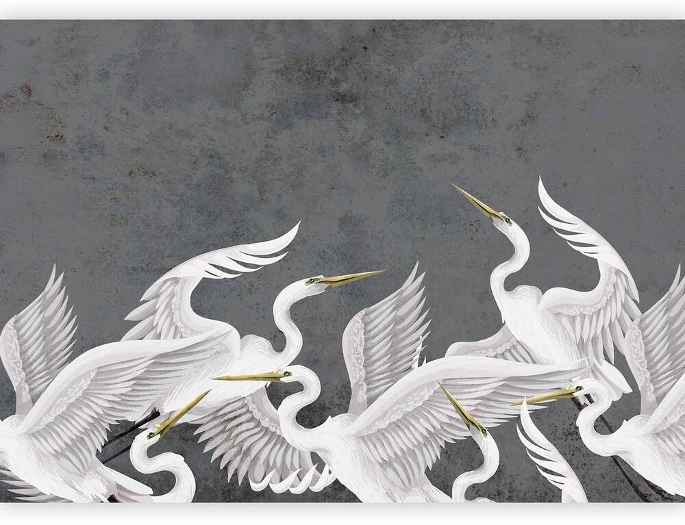 SELSEY Fototapeta Trzepot skrzydeł 400x280 cm