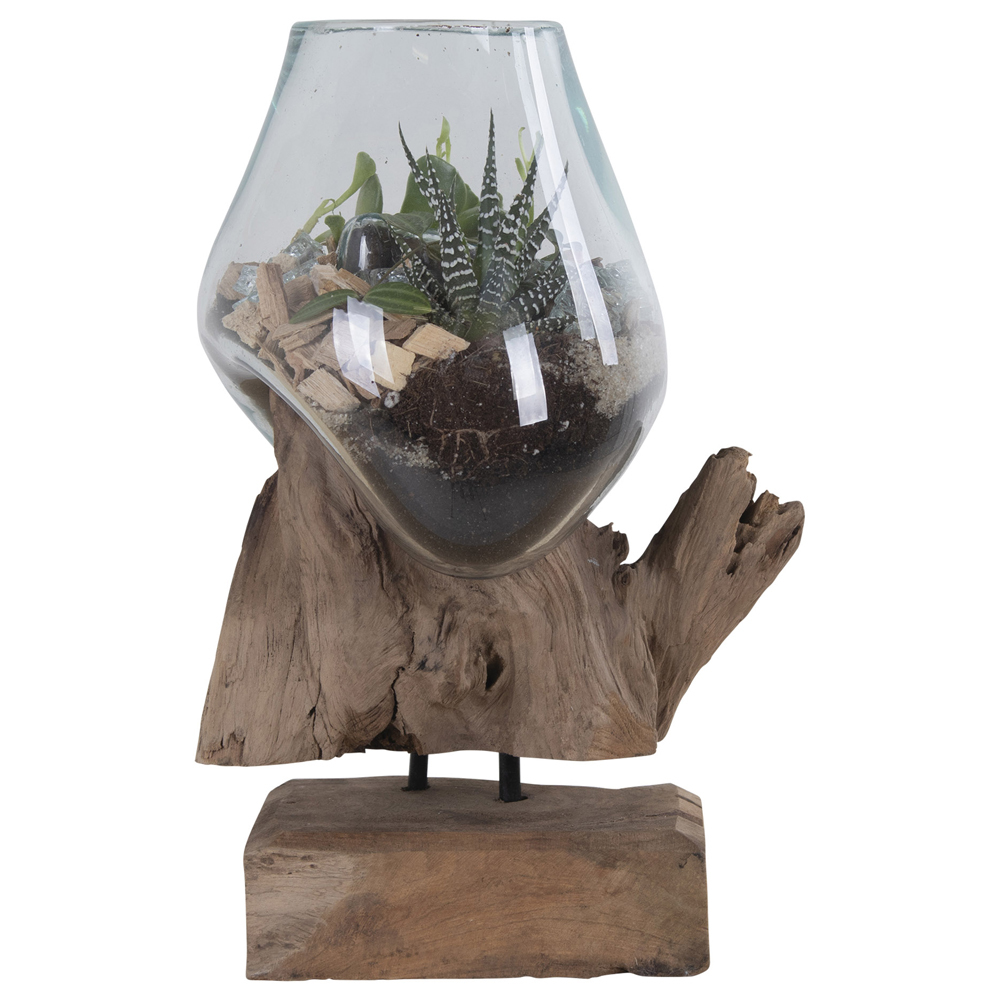 SELSEY Dekoracja szklana Bouraldo 18x25 cm z drewnem