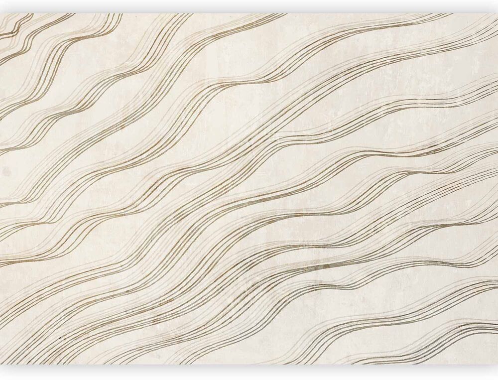 SELSEY Fototapeta Beżowe fale pustyni 400x280 cm