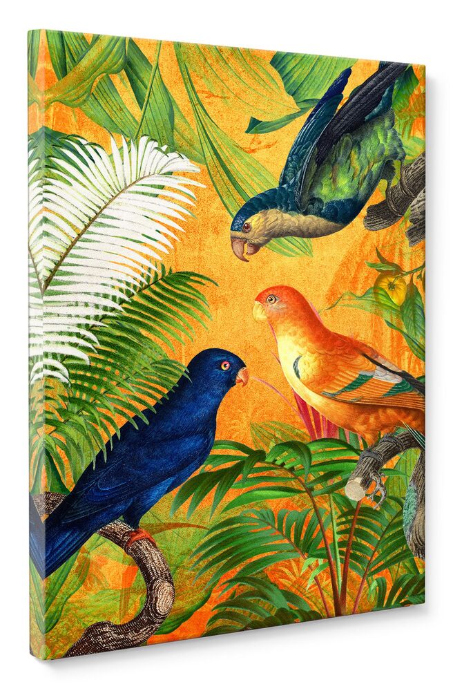 SELSEY Obraz Orange Parrot 100x70 cm wielokolorowy
