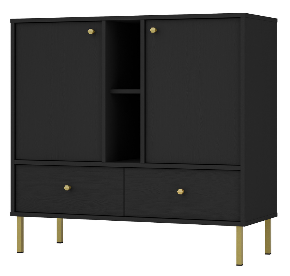 SELSEY Komoda dwudrzwiowa Oktio z dwiema szufladami i półką 100 cm czarny grafit na złotych nogach