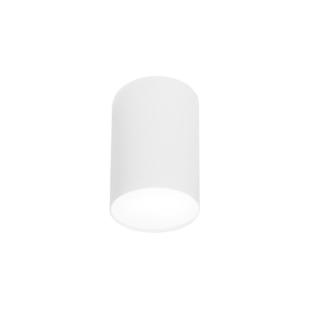 SELSEY Spot sufitowy Point Plexi 20 cm biały 6528