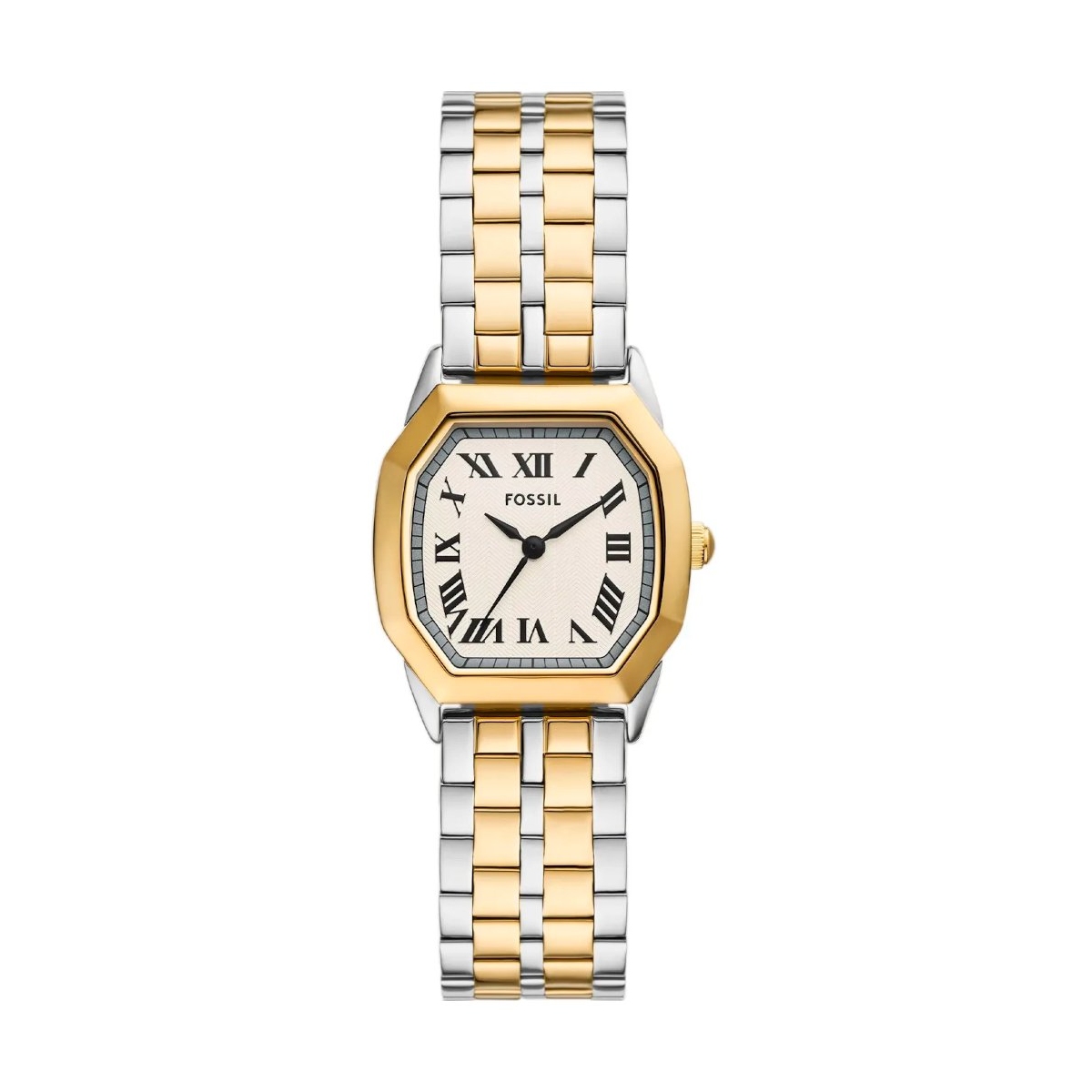 W.KRUK ZEGAREK FOSSIL HARLOW