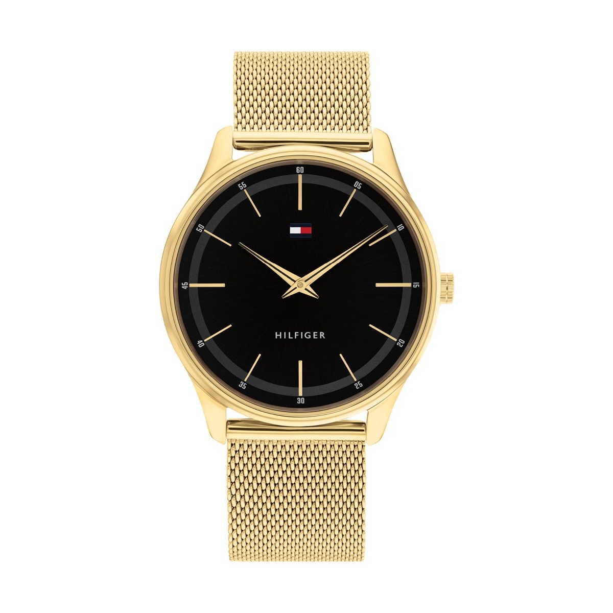 W.KRUK ZEGAREK TOMMY HILFIGER Adrian