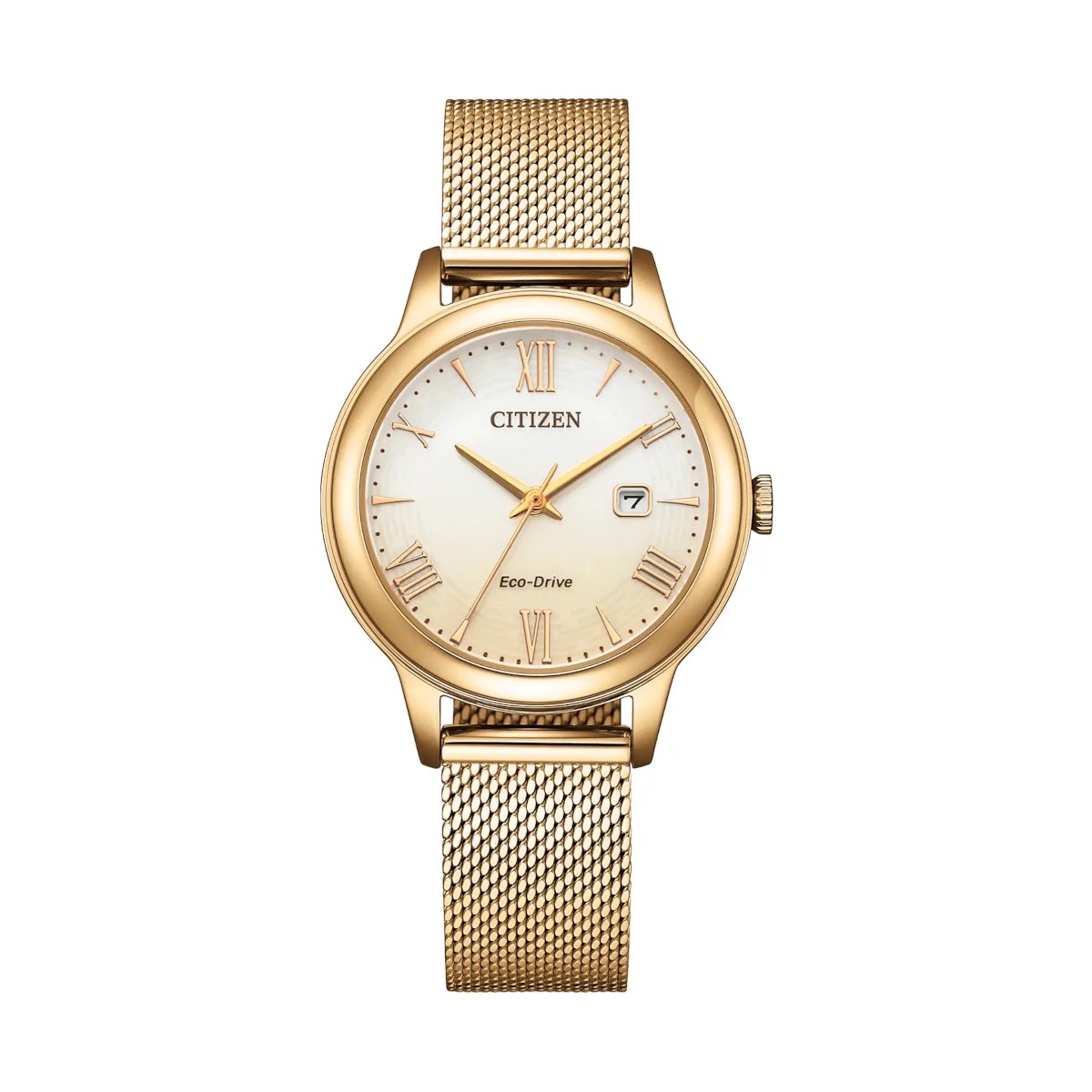 W.KRUK ZEGAREK CITIZEN ELEGANCE