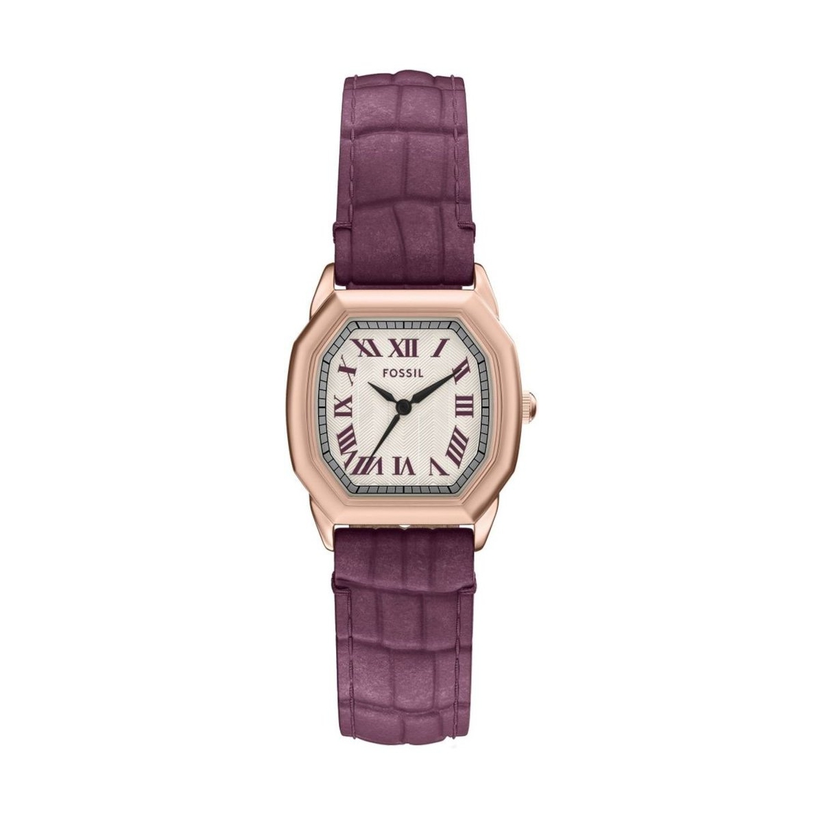 W.KRUK ZEGAREK FOSSIL HARLOW