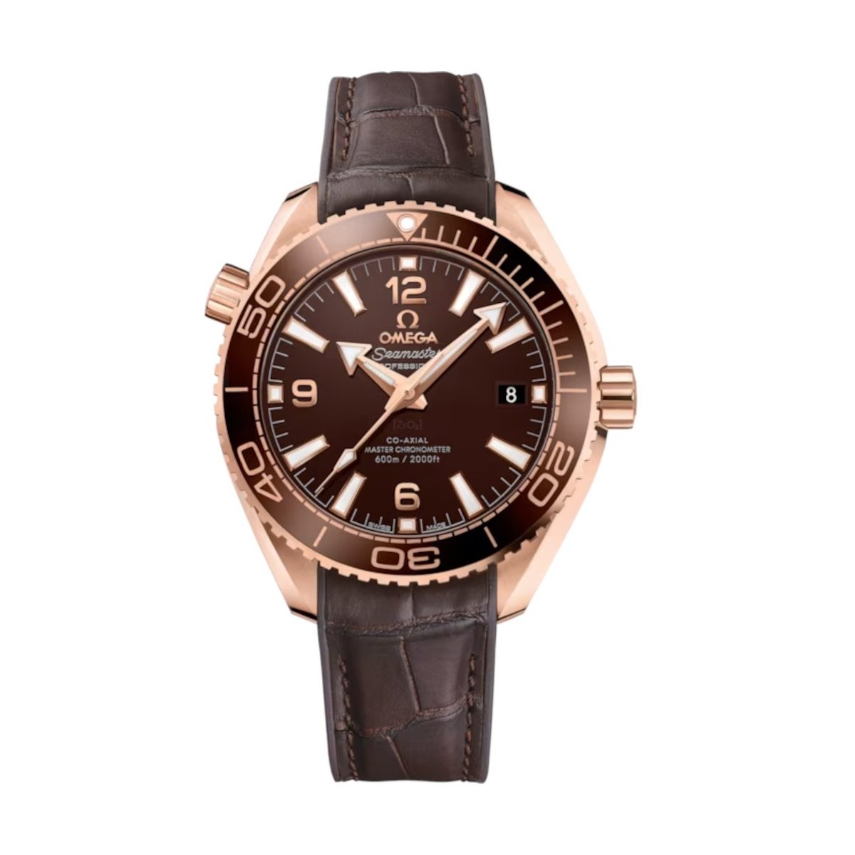 W.KRUK ZEGAREK OMEGA SEAMASTER PLANET OCEAN 600M