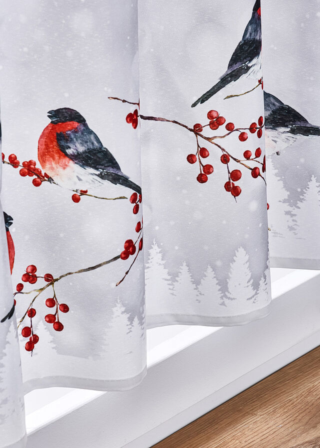 Zazdrostka z zimowym motywem