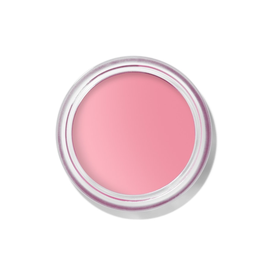 Bobbi Brown Pot Rouge Velvet Matte Róż do policzków 8,5 g PETAL PINK