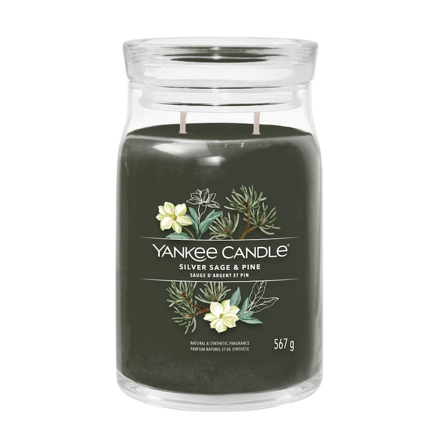 YANKEE CANDLE Silver Sage & Pine Świeczki 567 g