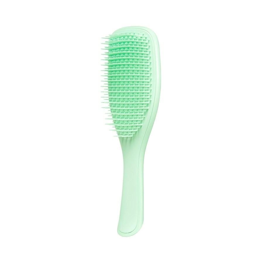 Tangle Teezer The Original FINE & FRAGILE WET DETANGLER HAIRBRUSH MINT Detangler 1 ct