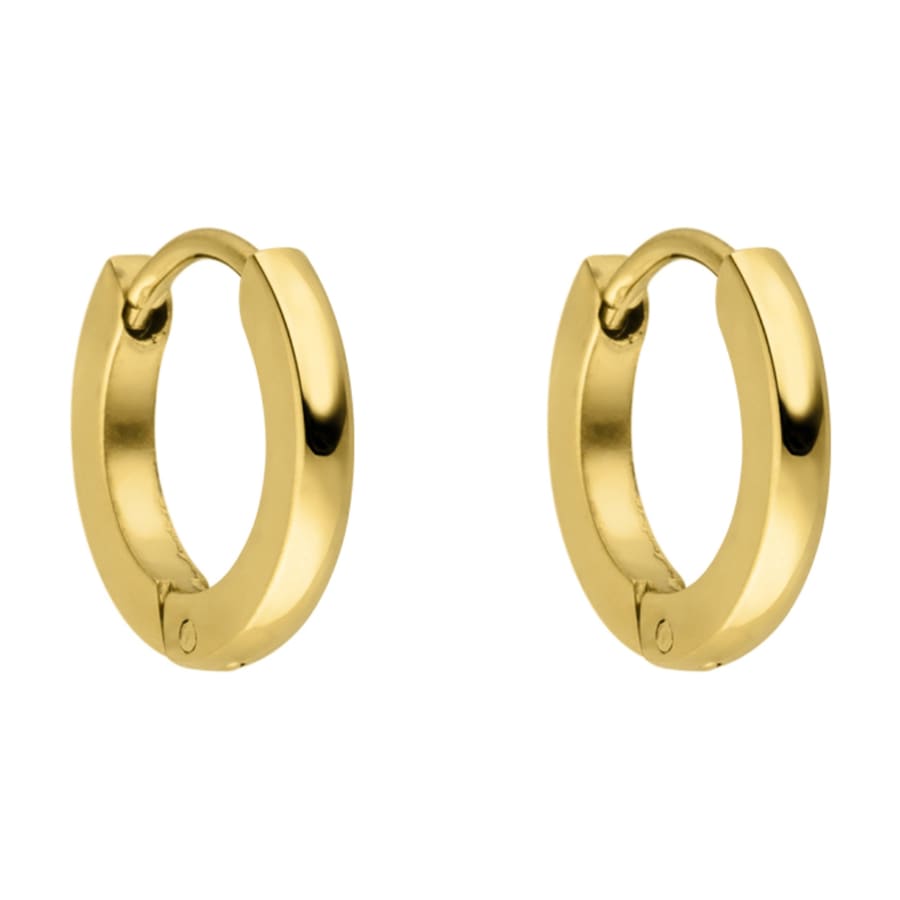 Purelei Purelei Kolczyki Kółka Ike Kolczyki koła 1 ct Damski