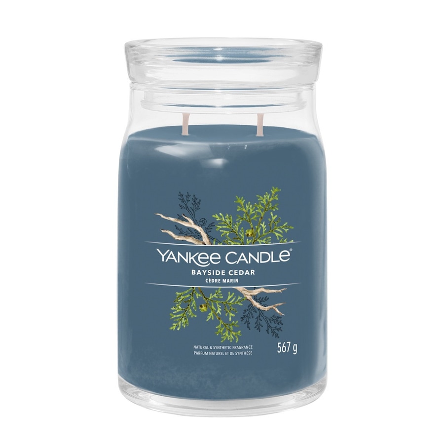 YANKEE CANDLE BAYSIDE CEDAR Świeczki 567 g