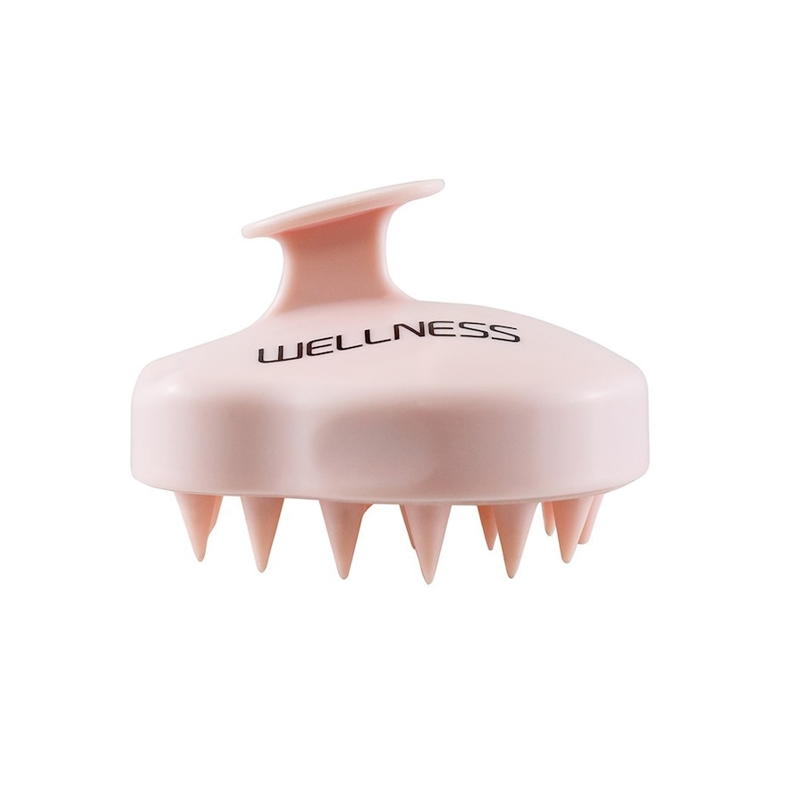 Wellness Masażer do włosów 1 ct Srebrny