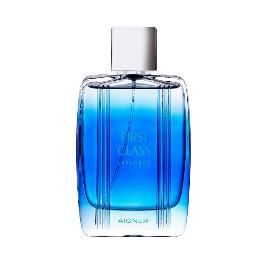 Aigner First Class Explorer Woda toaletowa 100 ml Męskie