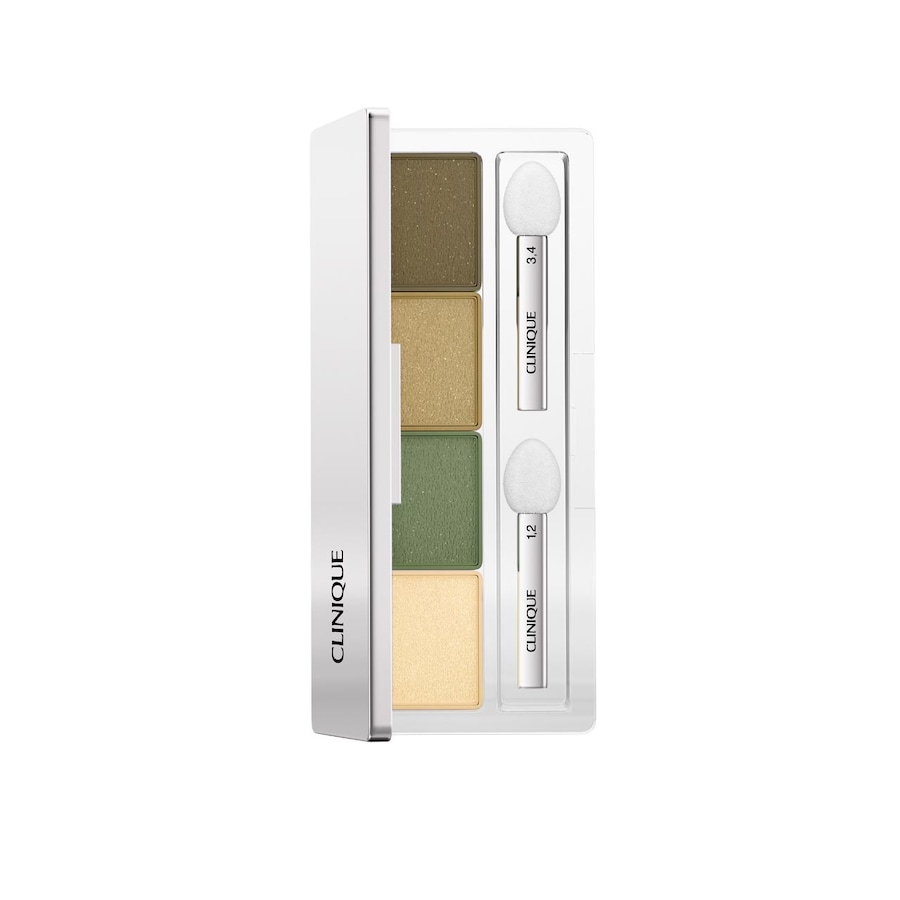 Clinique Eye Shadow Quad Cienie do powiek 4,8 g 5 - ON SAFARI