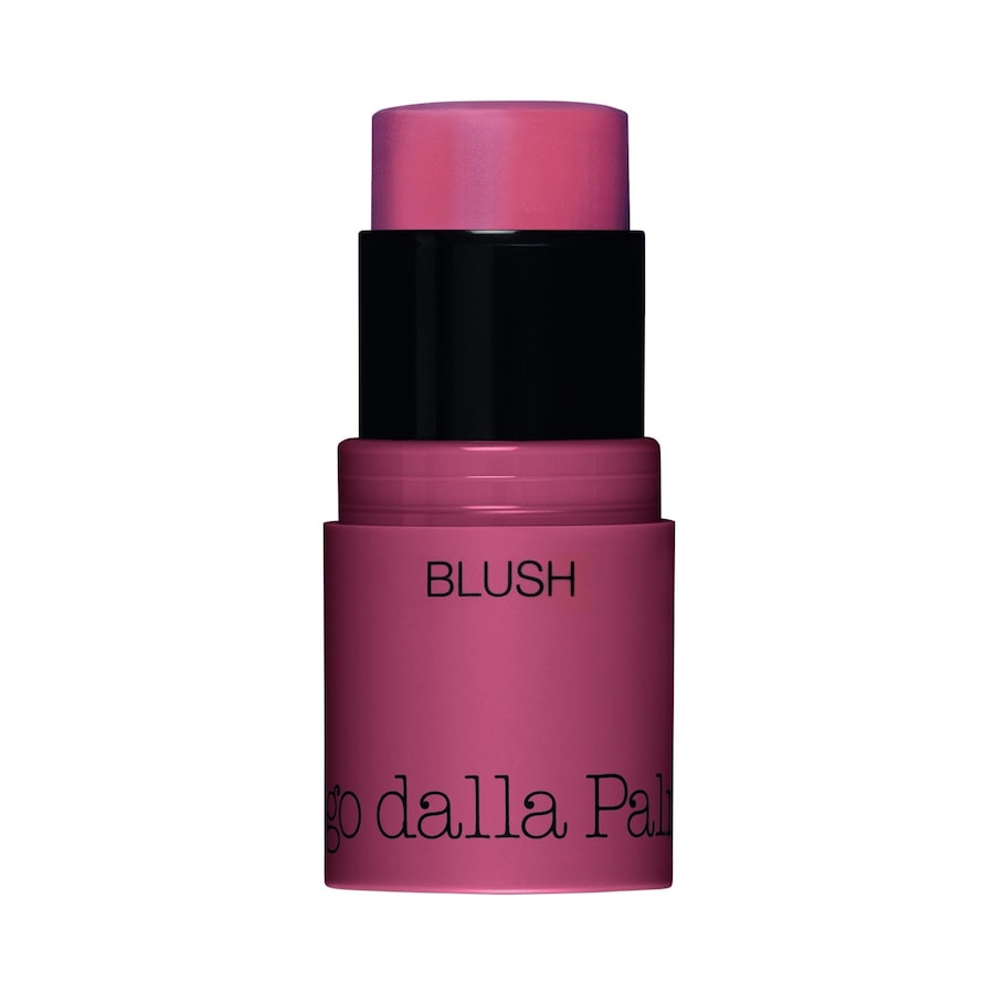 Diego dalla Palma All In One Blush Róż do policzków 4 g 43 - PINK