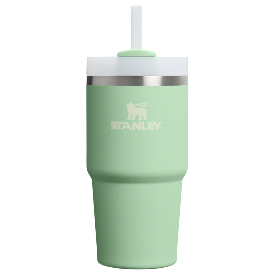Stanley Kubek ze słomką - 0,6L - THE QUENCHER H2.0 FLOWSTATE™ TUMBLER Butelki 1 ct Srebrny