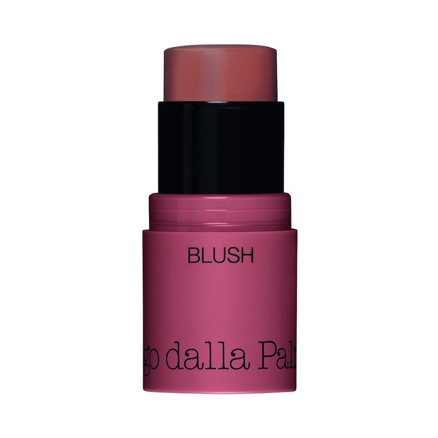 Diego dalla Palma All In One Blush Róż do policzków 4 g 44 - BISCUIT