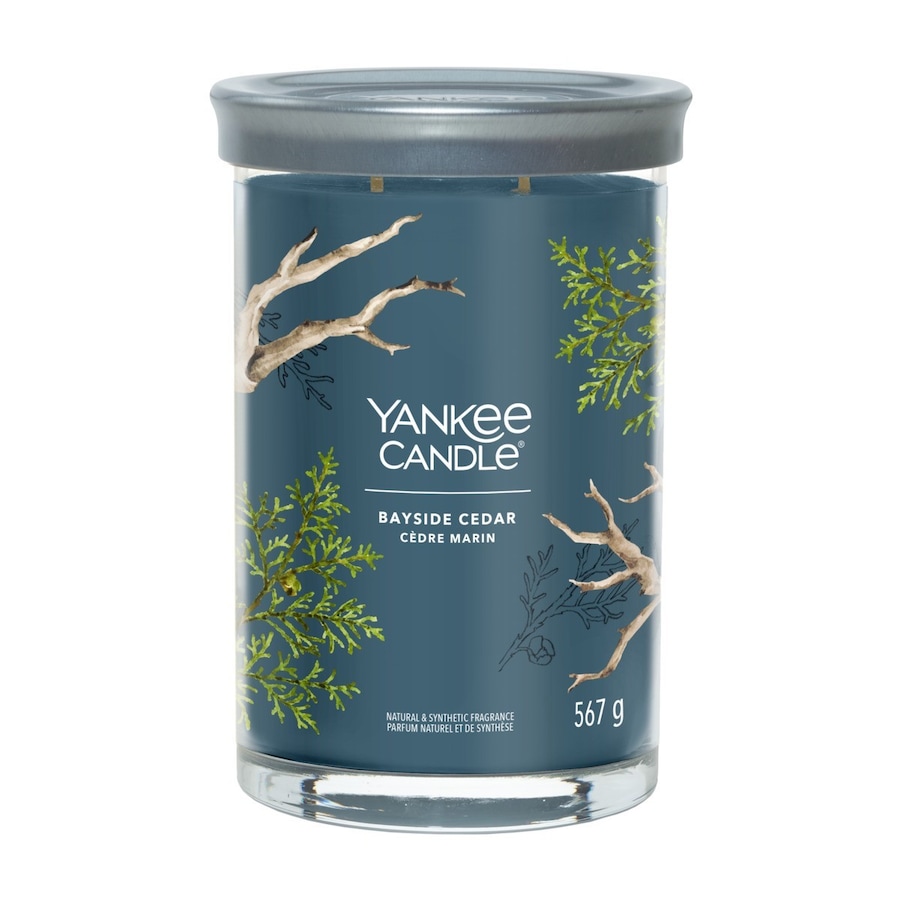 YANKEE CANDLE BAYSIDE CEDAR Świeczki 567 g
