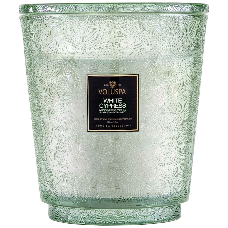 VOLUSPA Japonica Holiday 5 Wick Hearth Candle Świeczki 3487 g