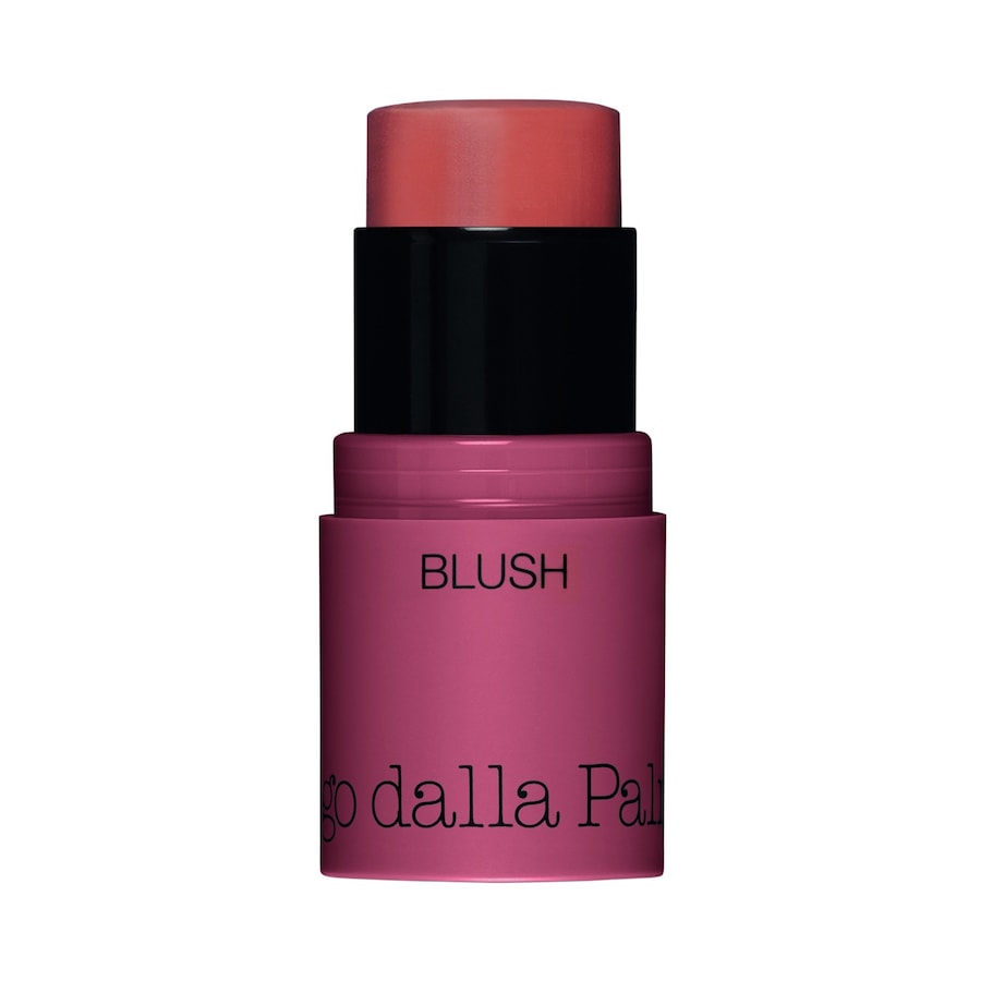 Diego dalla Palma All In One Blush Róż do policzków 4 g 42 - SALMON