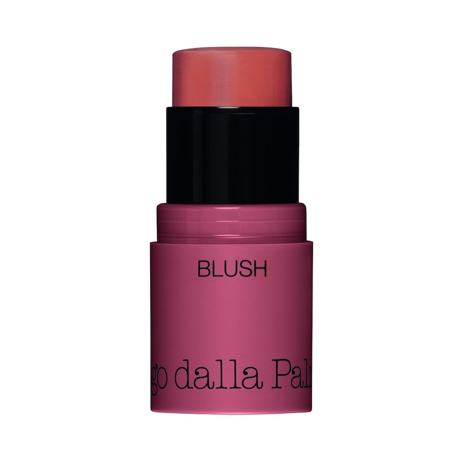 Diego dalla Palma All In One Blush Róż do policzków 4 g 42 - SALMON