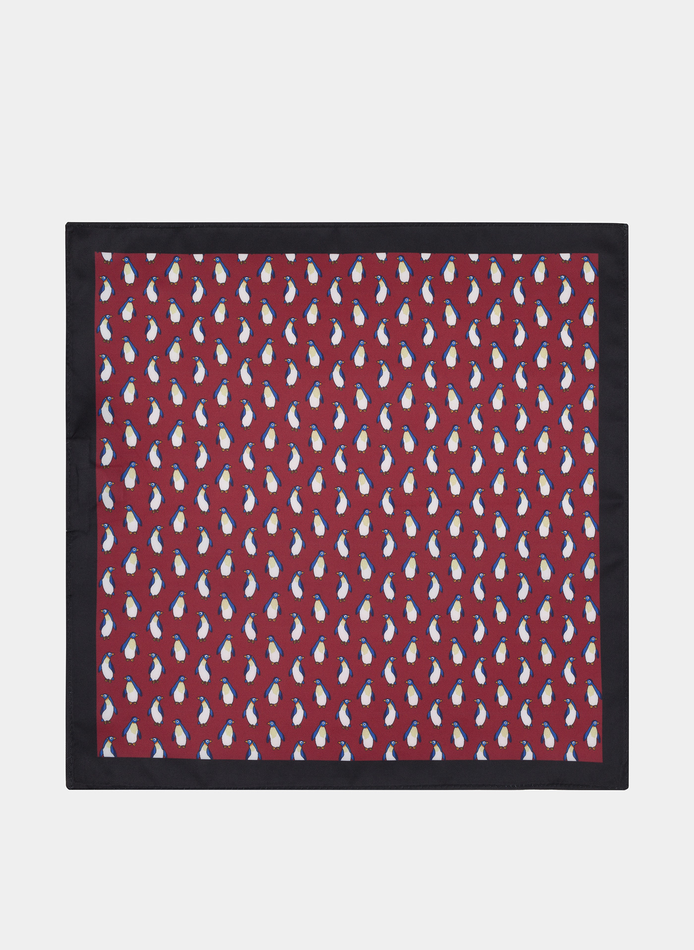 PAKO LORENTE – Poszetka P20WF-HX-294-D