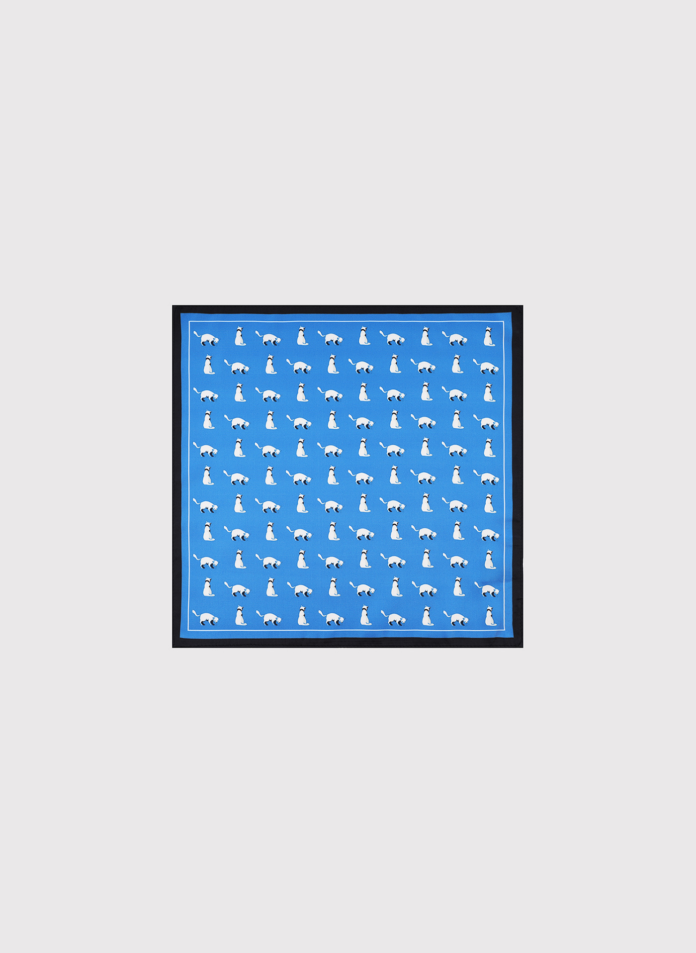 PAKO LORENTE – Niebieska poszetka w kotki