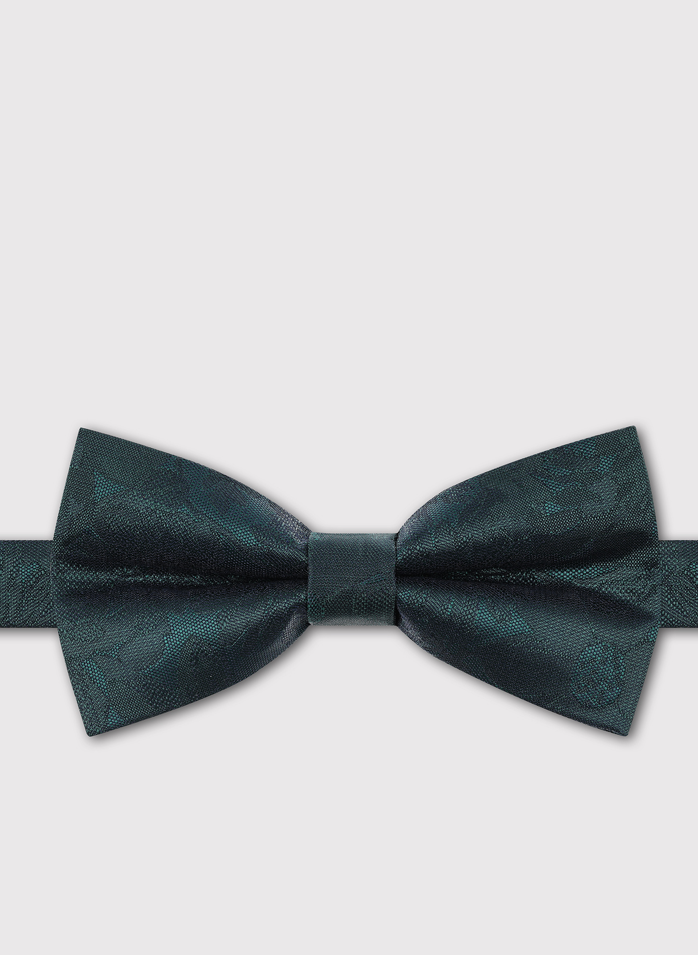 PAKO LORENTE - Zielona mucha męska