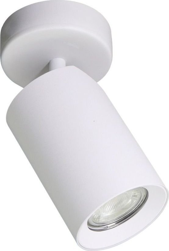 Zumaline Lampa reflektor spot na 2 sposoby montażu TORE TLS006-WH Zuma Line