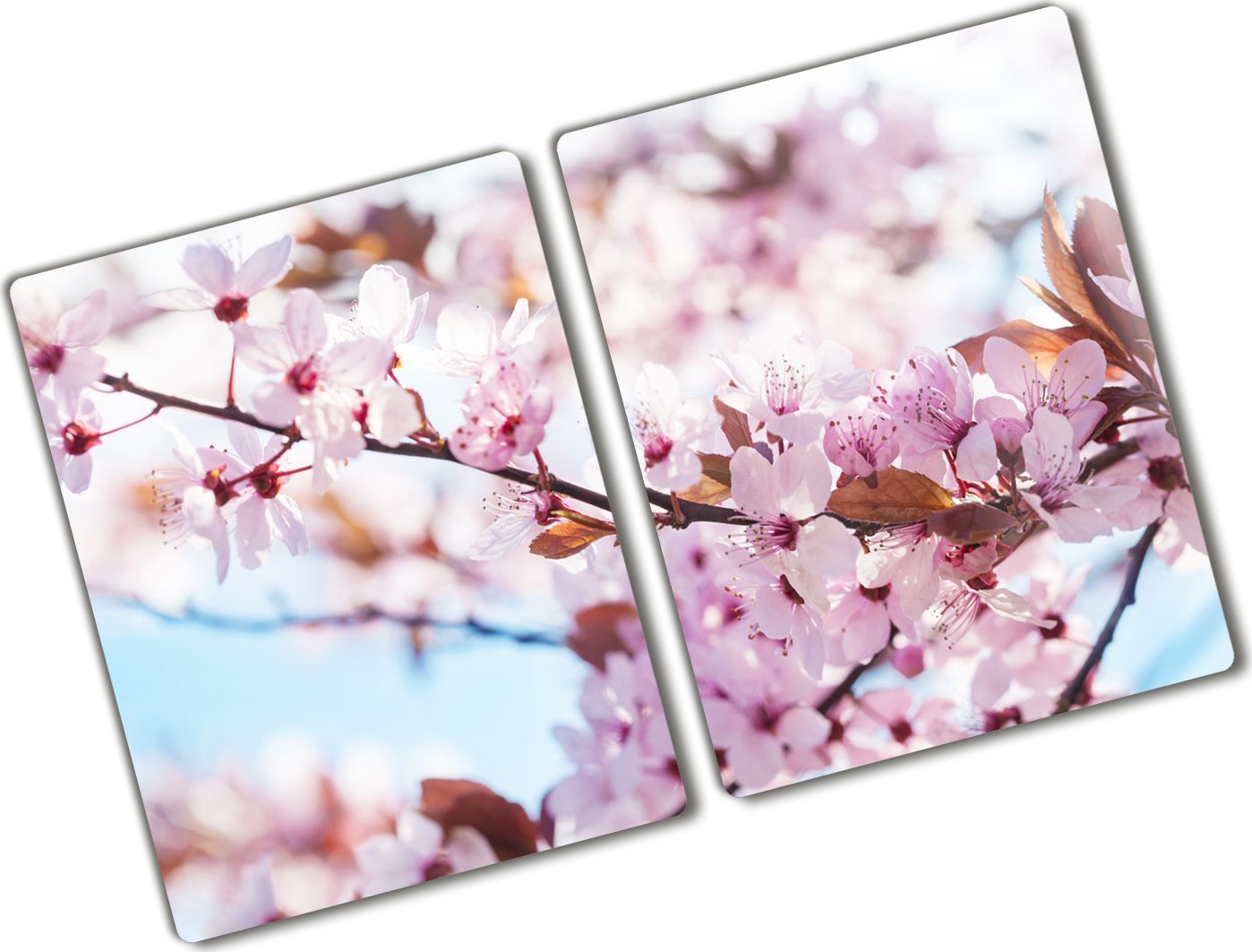 Deska do krojenia Tulup szklana Kwiaty wiśni 6 52x2szt.