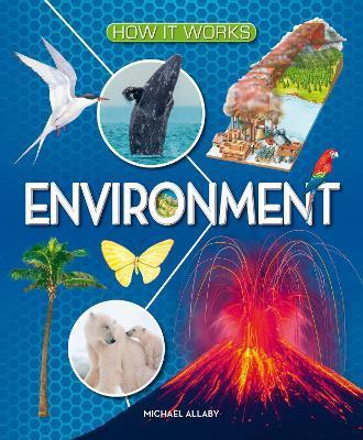 How It Works: Environment