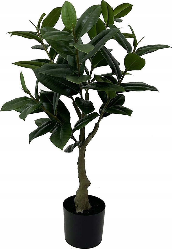 Sztuczna roślina drzewko kauczukowe, 69 cm