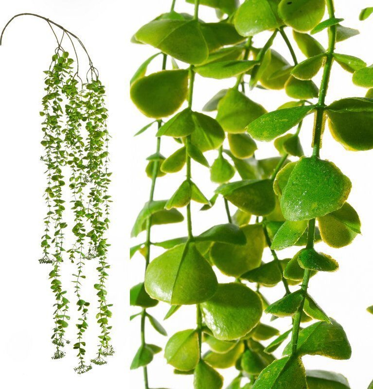 Eurofirany Sztuczna gałązka dekoracyjna NATU7 zielona x6