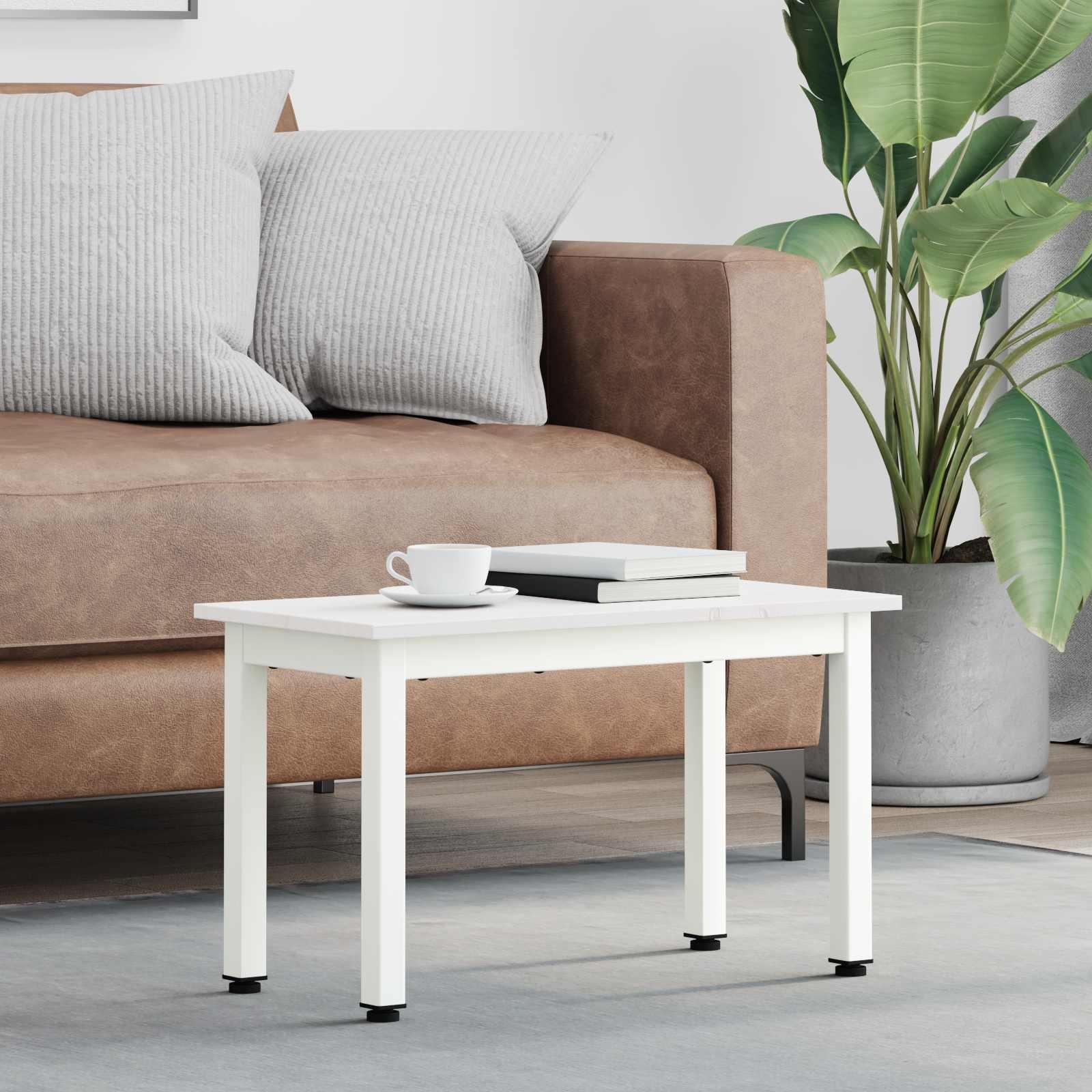 vidaXL Stolik kawowy Biały 60 x 30 x 36 cm Lekkie sosnowe drewno